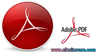 Adobe Acrobat Reader DC 2022