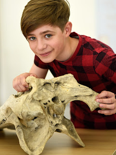 A young person handling an animal skeleton at Wakefield Museum