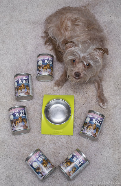 Mini Review: Taste of the Wild Canned Dog Food
