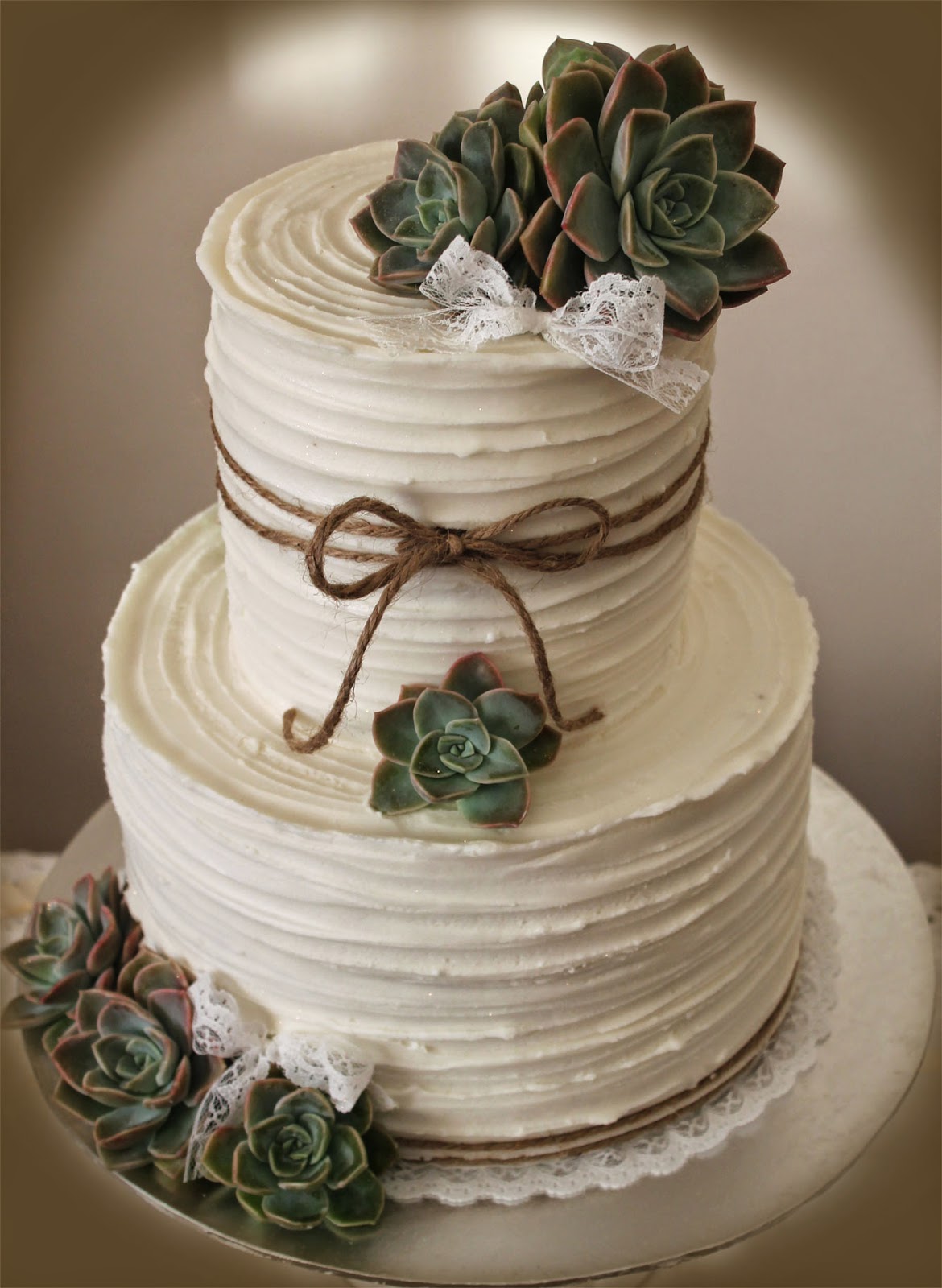 Delana s Cakes  Rustic  Wedding  Cake  with succulents
