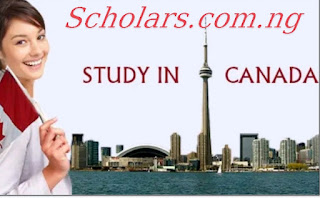 Apply Now for the 2023–2024 Sobeys Scholarship for Canadian High School Students