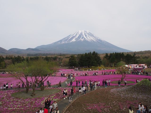 展望台からの眺め。