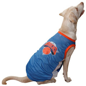 Basketball toys and jerseys for dogs