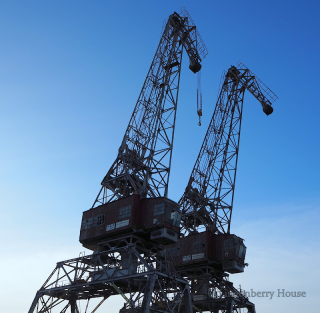 lingonberryhouse, nature, outdoor, harbour, port, cranes