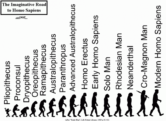 Sejarah Manusia Purba Dan Jenis-Jenisnya