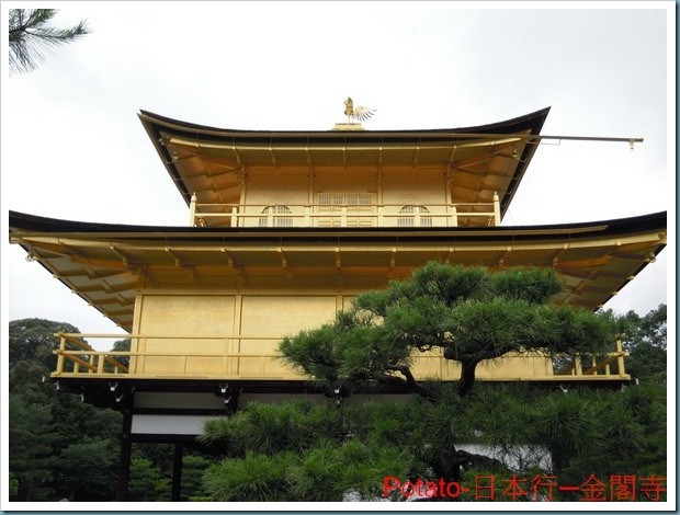 DSCN1414