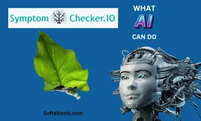 Exploring the Impact of Symptom Checker AI Tools in Healthcare