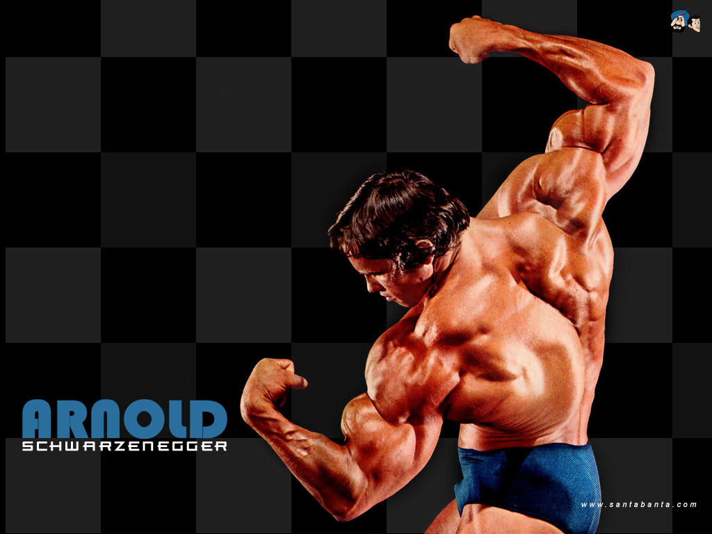 Arnold Schwarzenegger Body Building And Workout Pictures: Movies ...