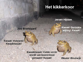 Het kikker-koor