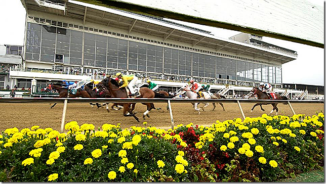 pimlico