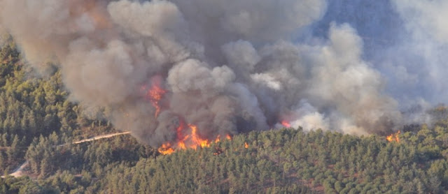 ISEP integra projeto para prevenção de incêndios