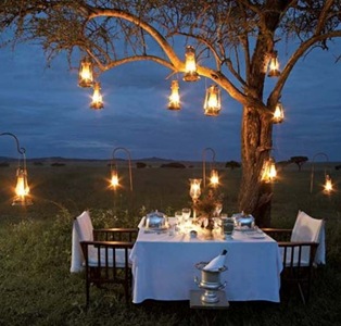 Abbondanza luce albero