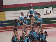 SI 2005