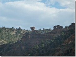 P1030613