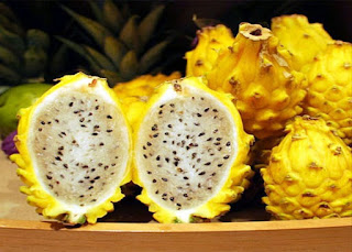 buah naga kuning