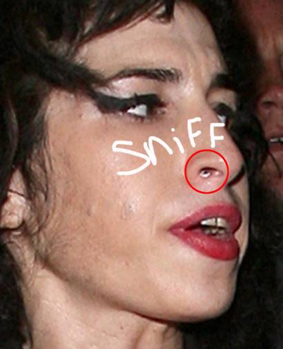 Amy Winehouse Dies