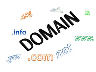  what is domain name full form and definition.