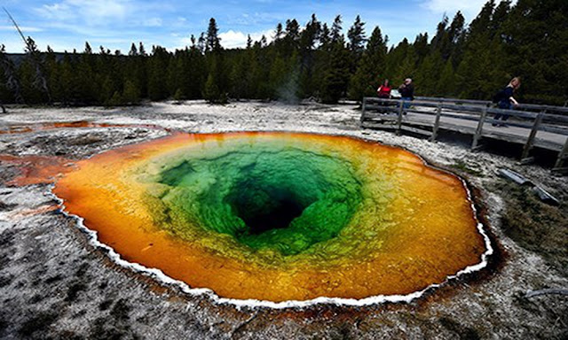 Công viên quốc gia Yellowstone