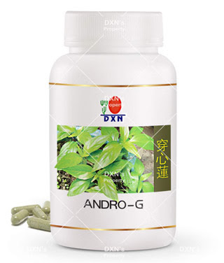 Andro-G 90 capsules x 350mg