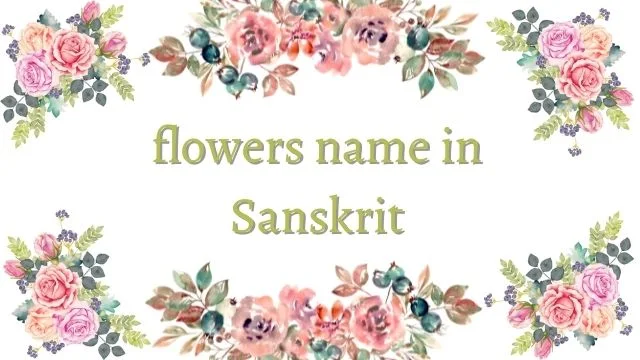 Flowers name in Sanskrit and Hindi