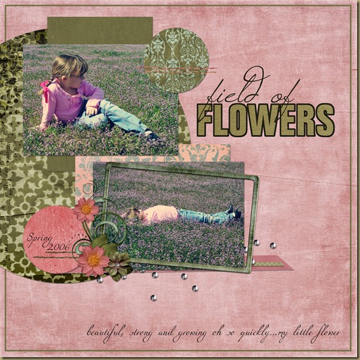 field of flowers