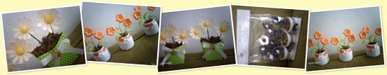 Exibir Flores