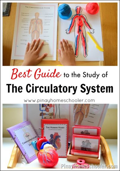 CirculatorySystemPIN