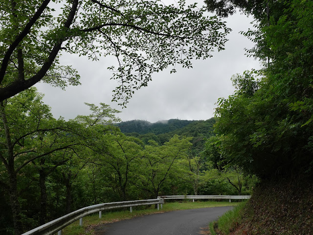 鳥取県西伯郡南部町下中谷　遊歩道