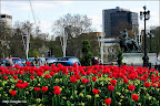 Buckingham Palace