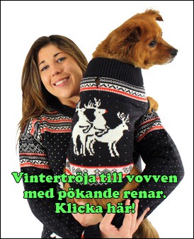 vovven