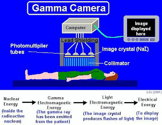 principle of gama camera