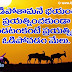 Success Life Quotations in Telugu Language