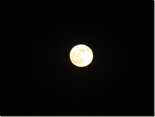 moon 015