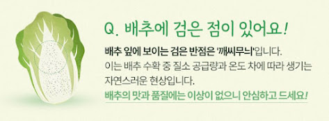 배추, 절임배추, 김장, 김치