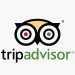 TripAdvisor Profile Hernan Zaldivar