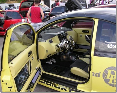 beetle xun (5)