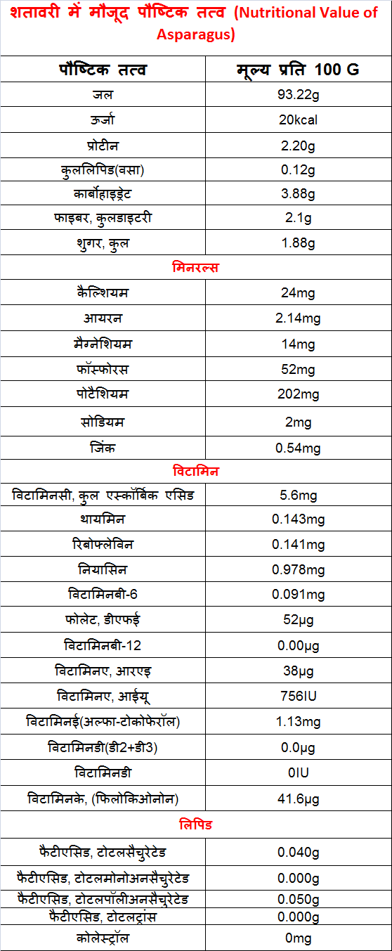 शतावरी में मौजूद पौष्टिक तत्व (Nutritional Value of Asparagus)