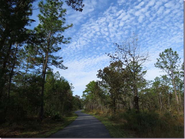 trailIMG_0236