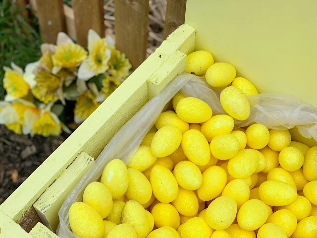 A box full of sparkly yellow eggs next to daffodils for the Easter Egg Hunt