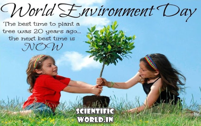 World Environment Day Quotes