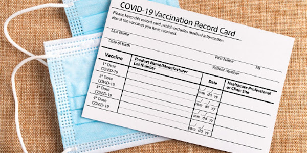 See what is in the certificate of vaccination / What is in my certificate of vaccination?