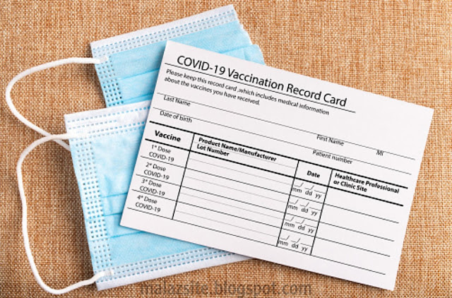 See what is in the certificate of vaccination / What is in my certificate of vaccination?