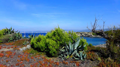 Panorama île des Embiers