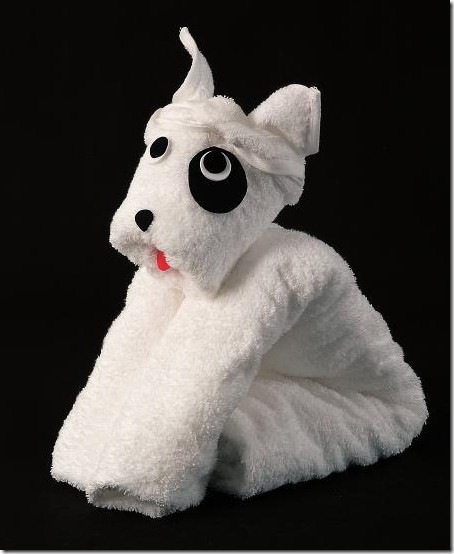 towel animal origami 