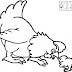 Desenho de Galinha e Pintinho para Colorir