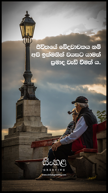 Sinhala Motivation Quotes - Positive Thinking - 19 - ජීවිතයේ ඛේදවාචකය නම් අපි ඉක්මනින් වයසට යාමත් ප්‍රමාද වැඩි වීමත් ය.