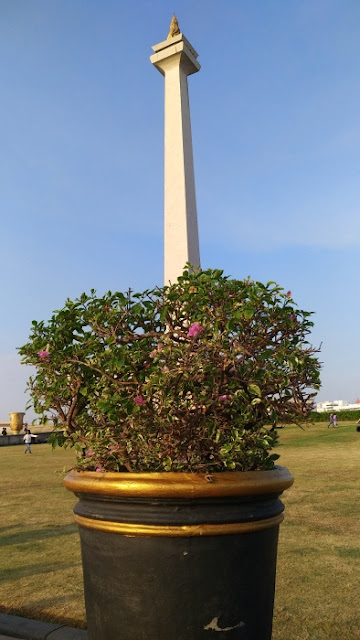 Monas