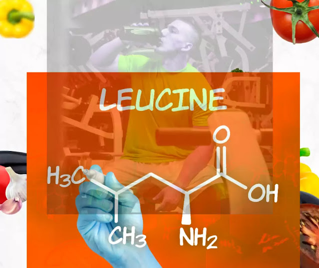 leucine Supplement