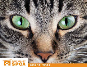 2013 Bow Valley SPCA calendar