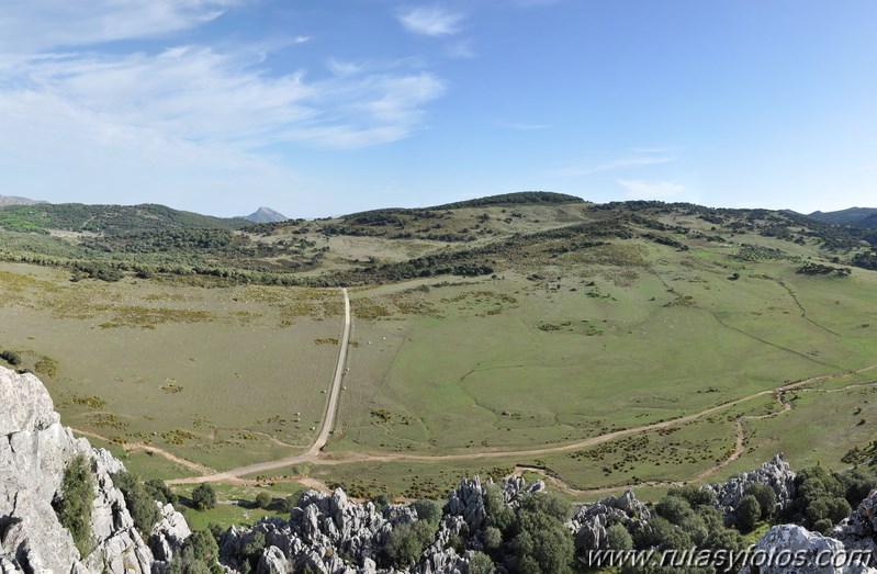 Subida a los Cerros Patagalana y Lajares